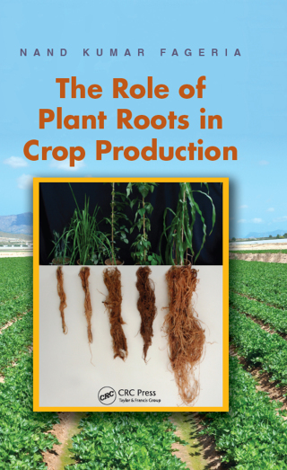 The Role of Plant Roots in Crop Production