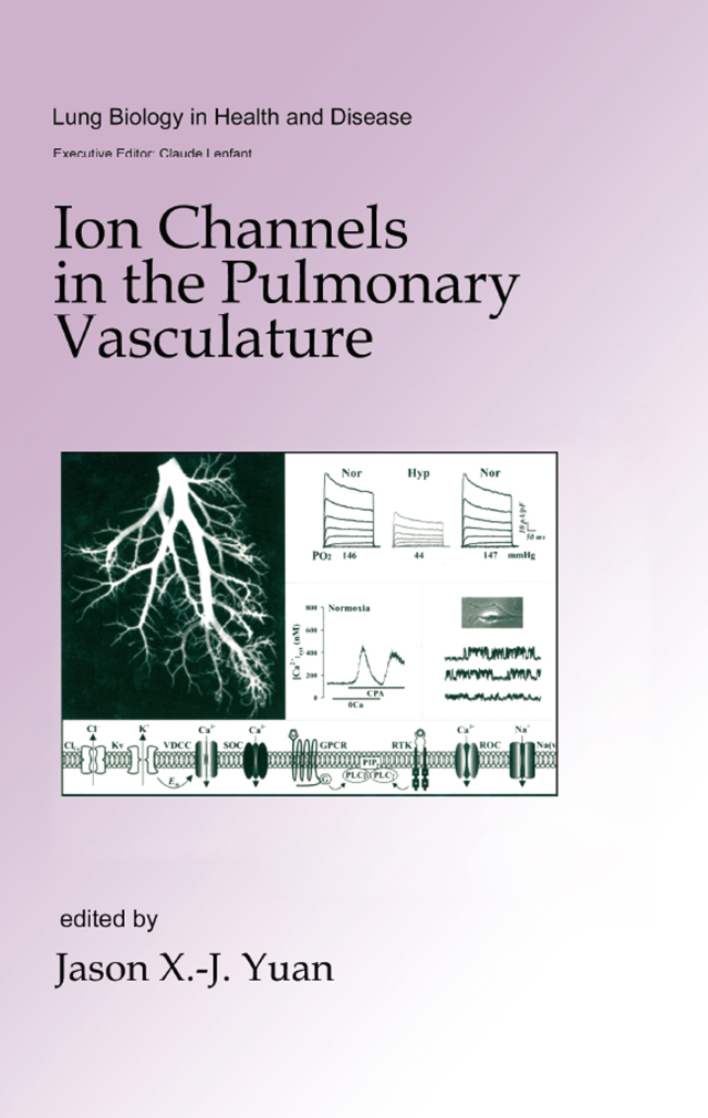 Ion Channels in the Pulmonary Vasculature