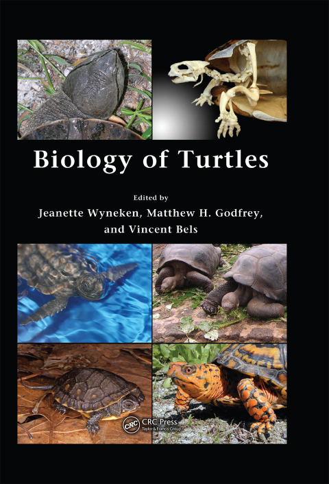 Cover image for book Biology of Turtles