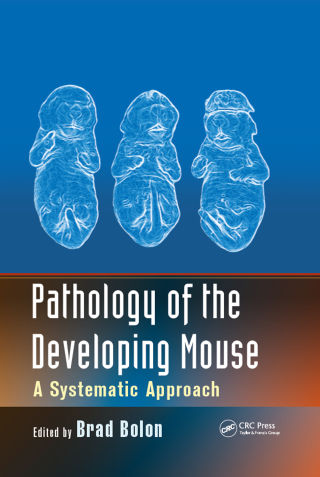 Pathology of the Developing Mouse