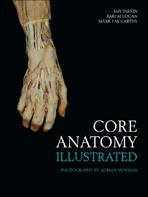 Core Anatomy - Illustrated 