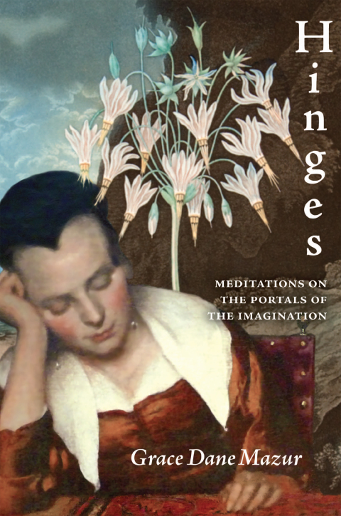 Cover image for book Hinges