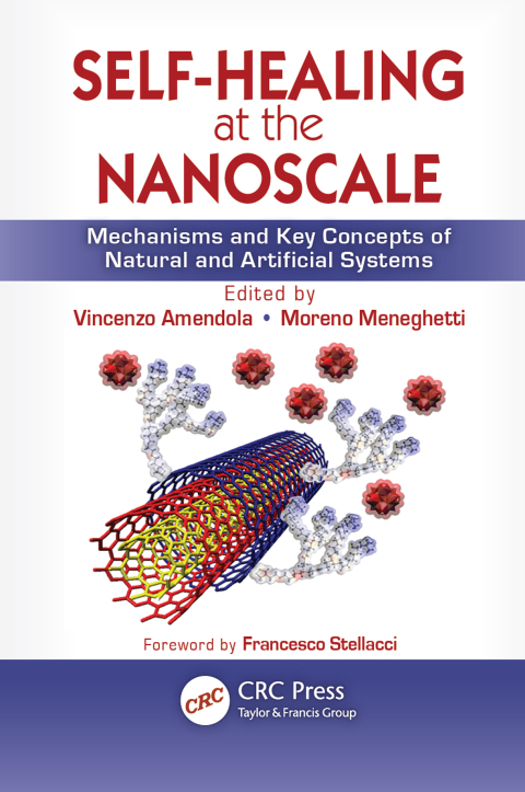 Cover image for book Self-Healing at the Nanoscale