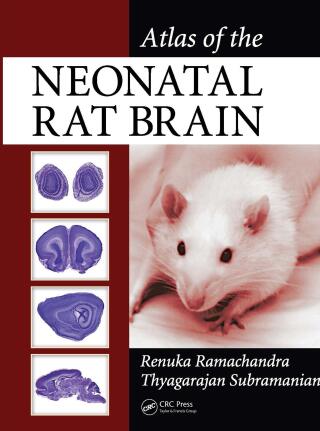 Atlas of the Neonatal Rat Brain