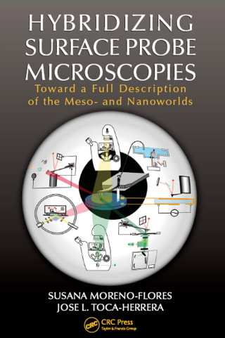 Hybridizing Surface Probe Microscopies