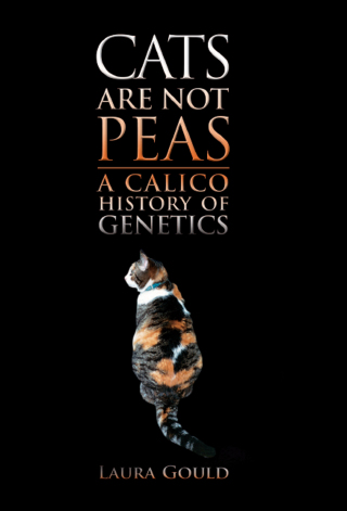 Cats Are Not Peas