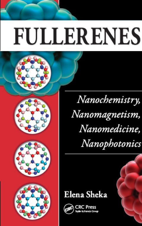 Cover image for book Fullerenes