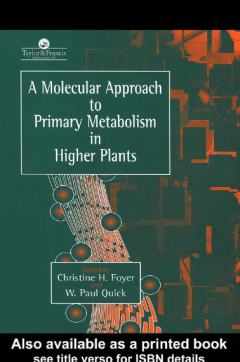 Cover image for book A Molecular Approach To Primary Metabolism In Higher Plants