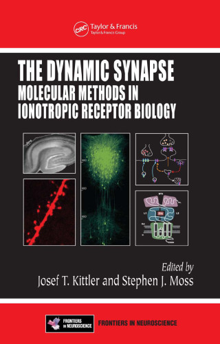 The Dynamic Synapse