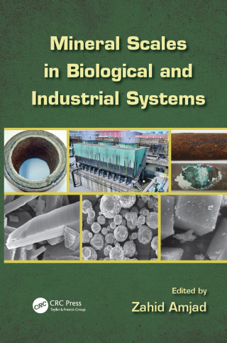 Mineral Scales in Biological and Industrial Systems