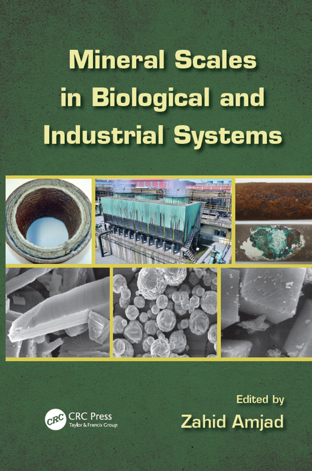 Mineral Scales in Biological and Industrial Systems