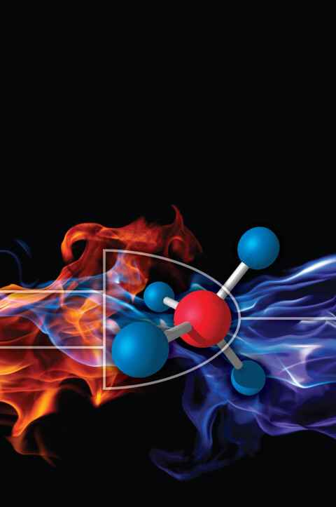 Cover image for book Chemical Thermodynamics and Information Theory with Applications