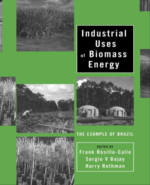Cover image for book Industrial Uses of Biomass Energy