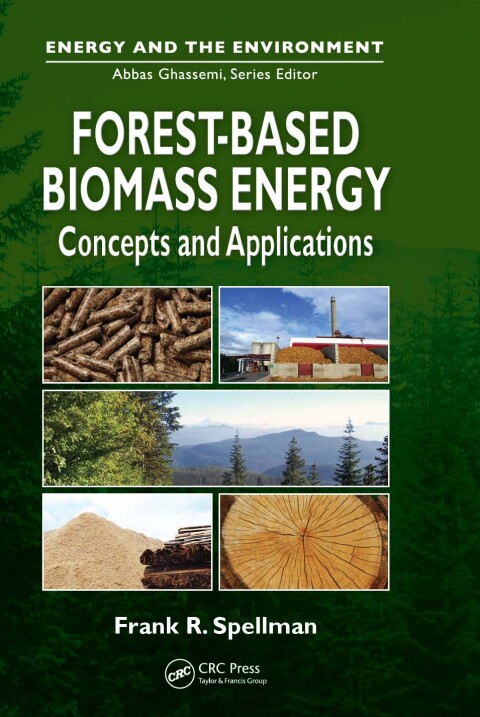 Cover image for book Forest-Based Biomass Energy
