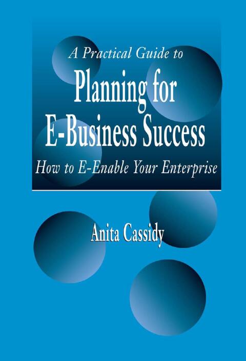 Cover image for book A Practical Guide to Planning for E-Business Success