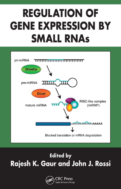 Cover image for book Regulation of Gene Expression by Small RNAs