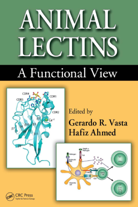 Cover image for book Animal Lectins
