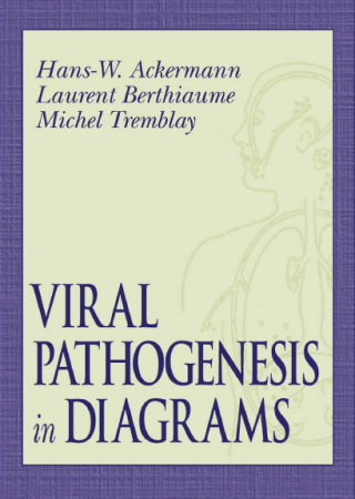 Viral Pathogenesis in Diagrams