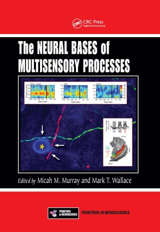 The Neural Bases of Multisensory Processes