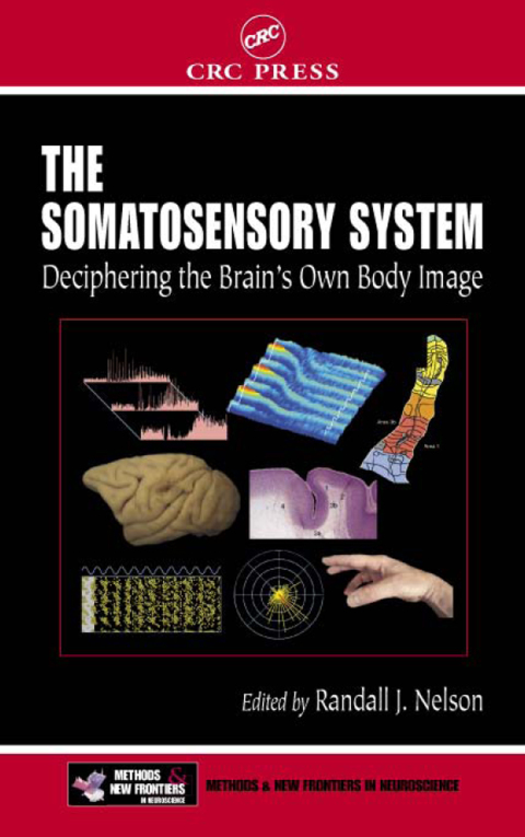 Cover image for book The Somatosensory System