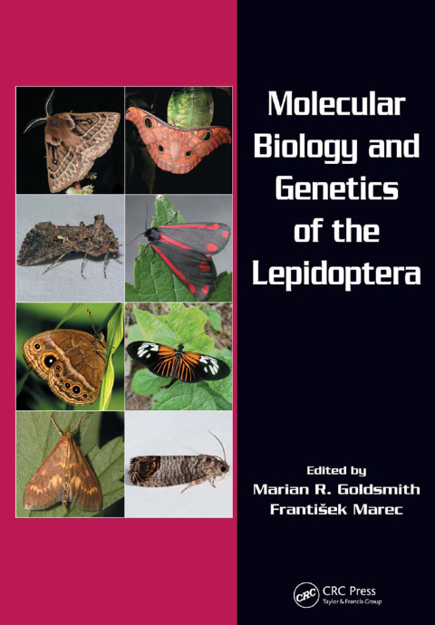 Cover image for book Molecular Biology and Genetics of the Lepidoptera