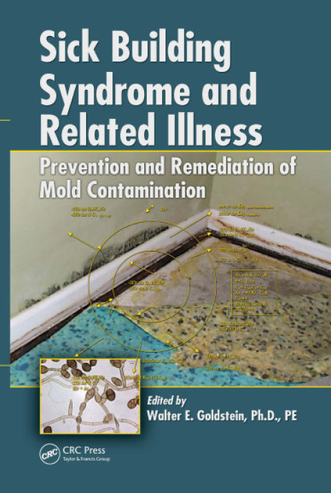 Cover image for book Sick Building Syndrome and Related Illness