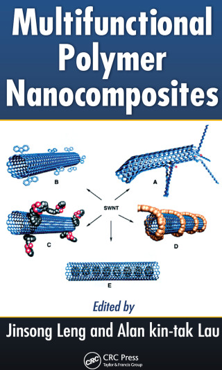 Multifunctional Polymer Nanocomposites