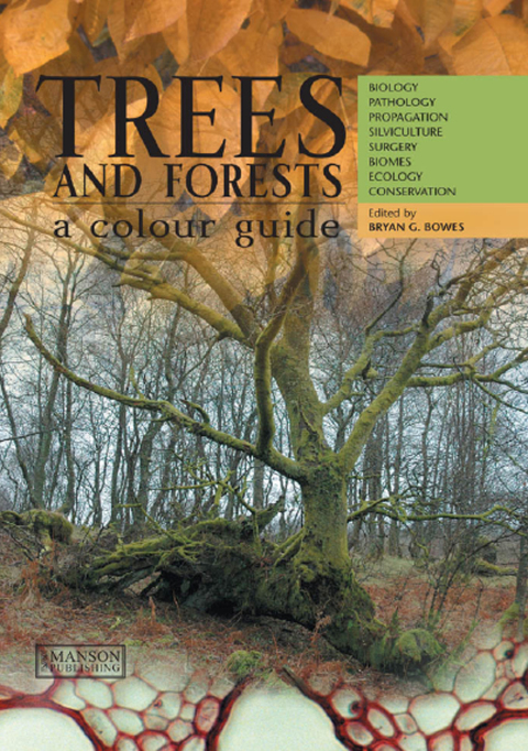 Cover image for book Trees & Forests, A Colour Guide