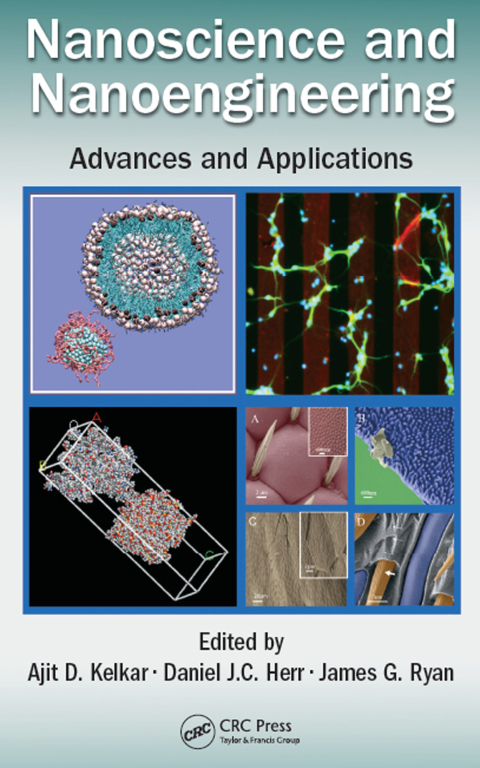 Cover image for book Nanoscience and Nanoengineering