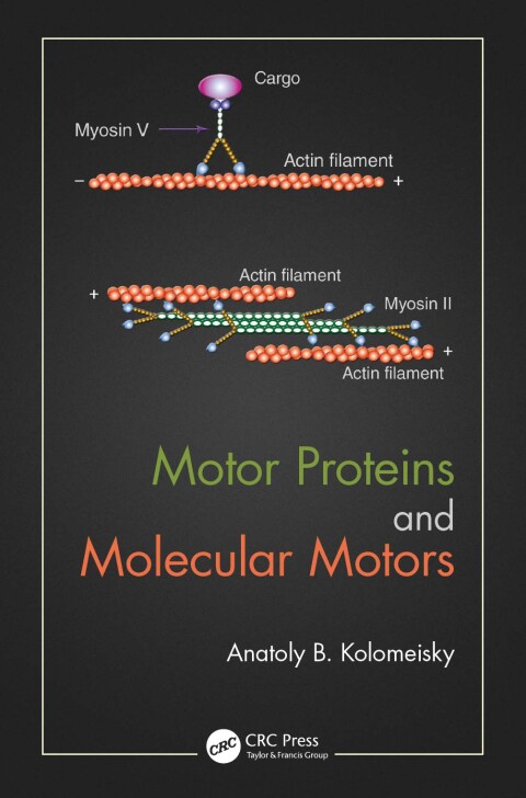 Cover image for book Motor Proteins and Molecular Motors