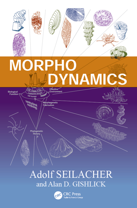 Cover image for book Morphodynamics