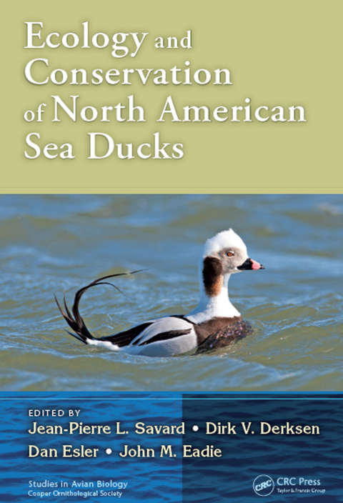 Cover image for book Ecology and Conservation of North American Sea Ducks