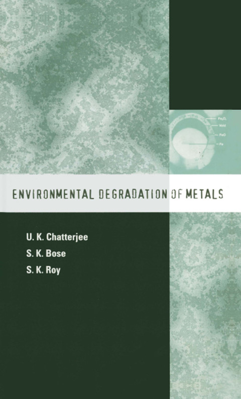 Cover image for book Environmental Degradation of Metals