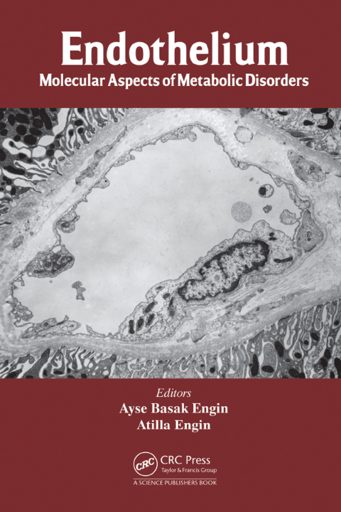 Cover image for book Endothelium