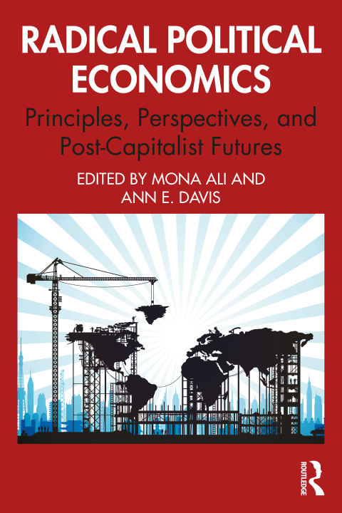 Cover image for book Radical Political Economics