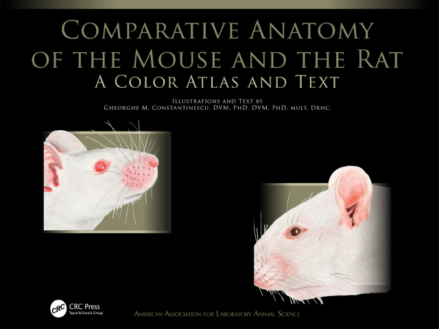 Comparative Anatomy of the Mouse and the Rat