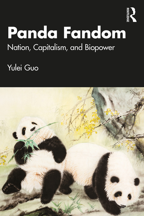 Cover image for book Panda Fandom