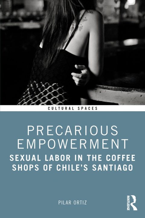 Cover image for book Precarious Empowerment