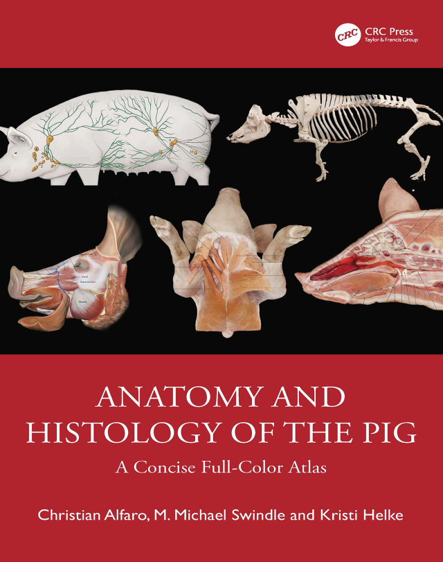 Anatomy and Histology of the Pig