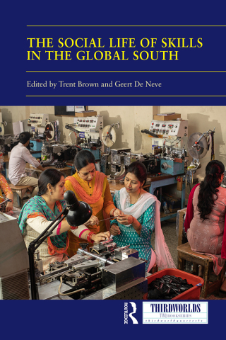 The Social Life of Skills in the Global South