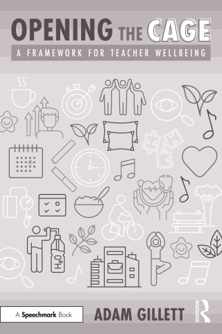 Opening the CAGE: A Framework for Teacher Wellbeing
