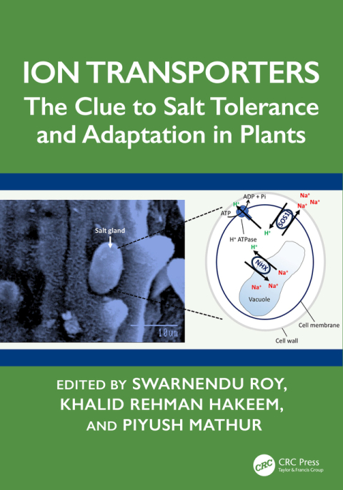 Cover image for book Ion Transporters