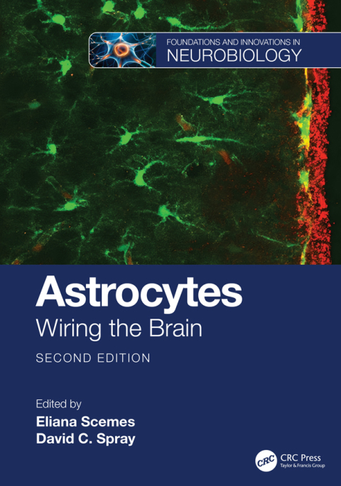 Cover image for book Astrocytes