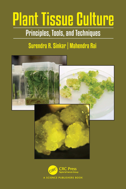 Cover image for book Plant Tissue Culture