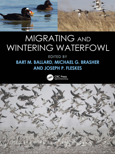 Cover image for book Migrating and Wintering Waterfowl