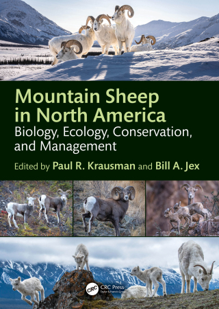 Mountain Sheep in North America