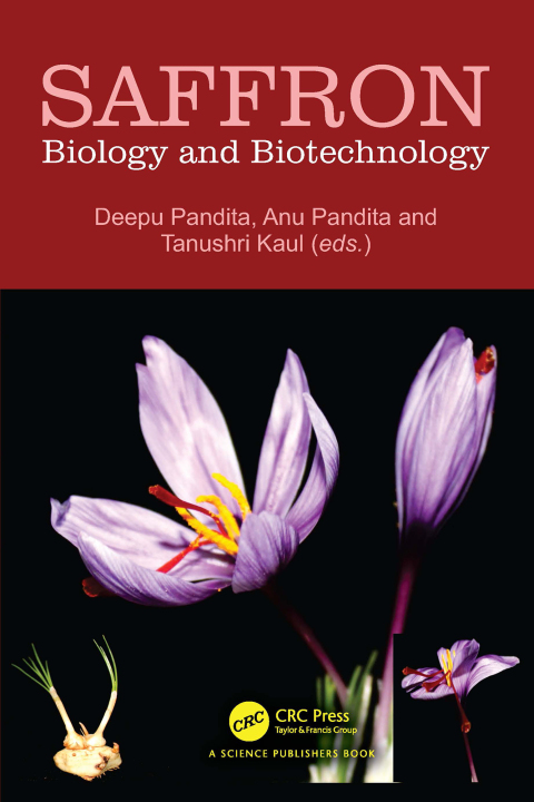Cover image for book Saffron