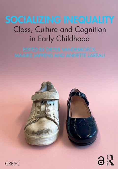 Cover image for book Socializing Inequality