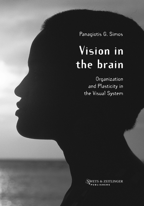 Cover image for book Vision in the Brain