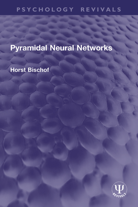 Cover image for book Pyramidal Neural Networks